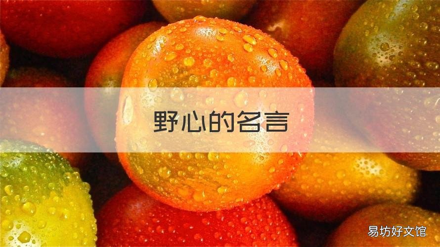 野心的名言 野心和欲望的经典名言