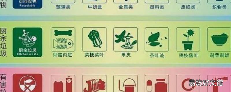 存放干垃圾的桶身是什么颜色