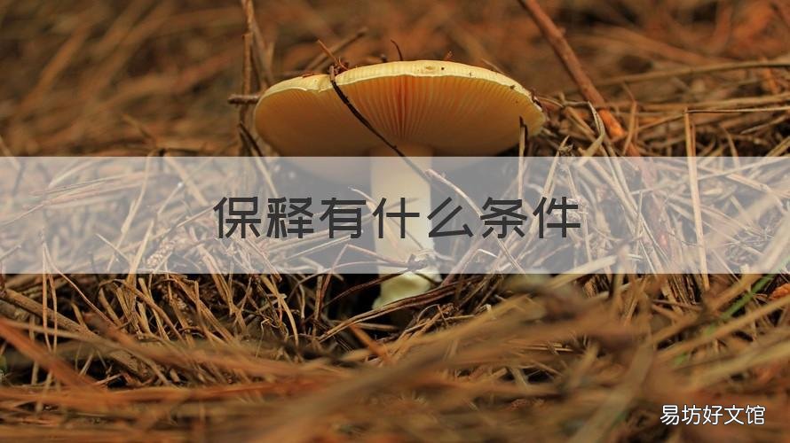 保释有什么条件 保释合法吗