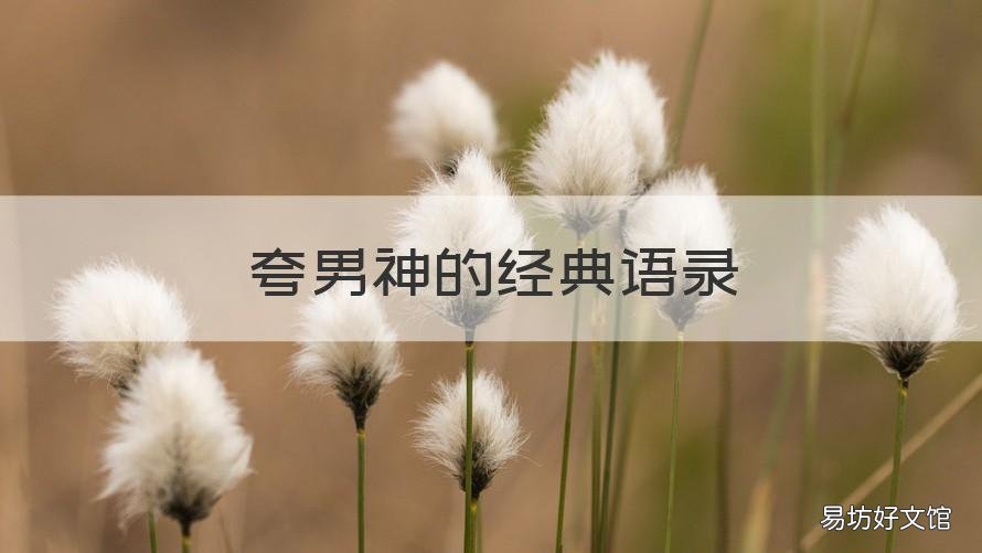 夸男神的经典语录 夸男神的经典语录短句