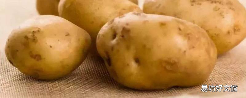 土豆怎么放不发芽 冬天土豆怎么放不发芽