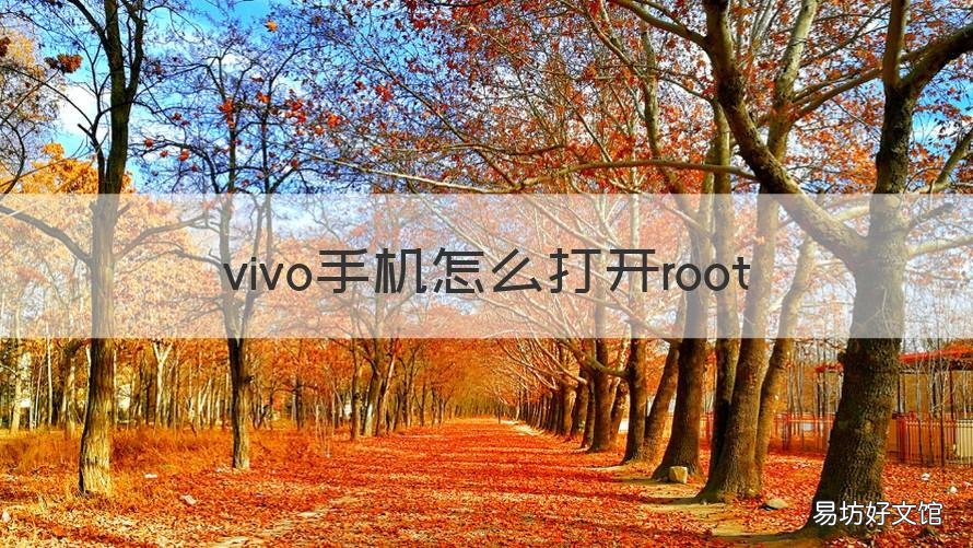 vivo手机怎么打开root VIVO手机怎么打开应用锁