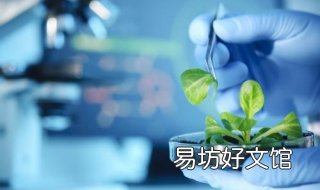 生物技术专业 生物技术专业可以考药师资格证吗