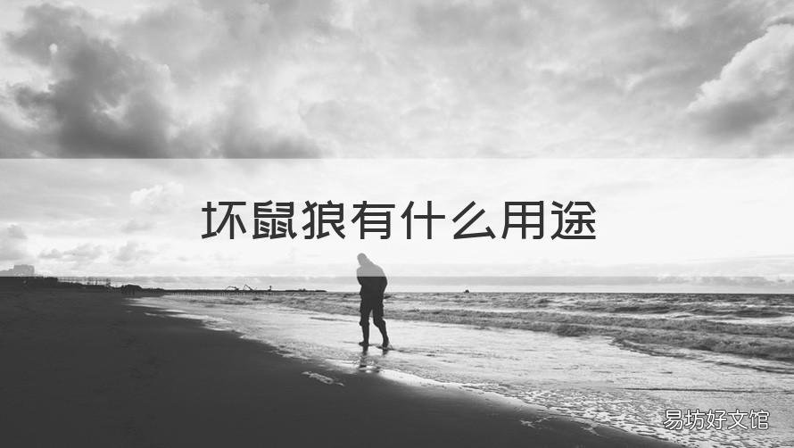 坏鼠狼有什么用途 狼什么鼠什么