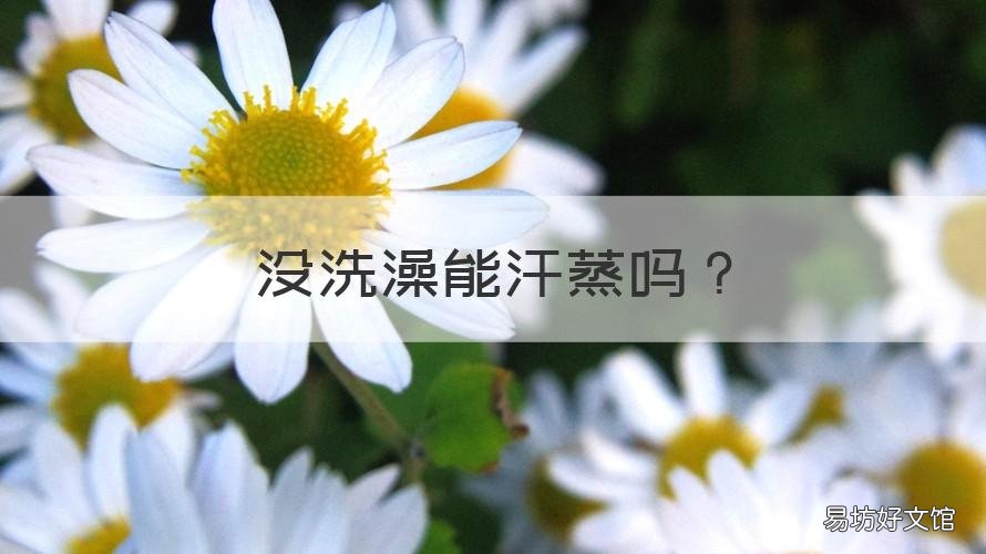没洗澡能汗蒸吗 不洗澡可以汗蒸不