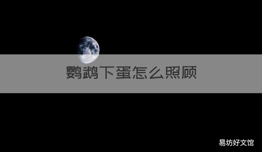 鹦鹉下蛋怎么照顾 鹦鹉下蛋怎么照顾的