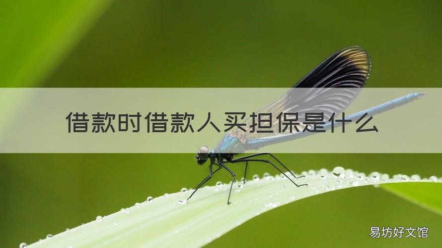 借款时借款人买担保是什么 借款需要担保吗