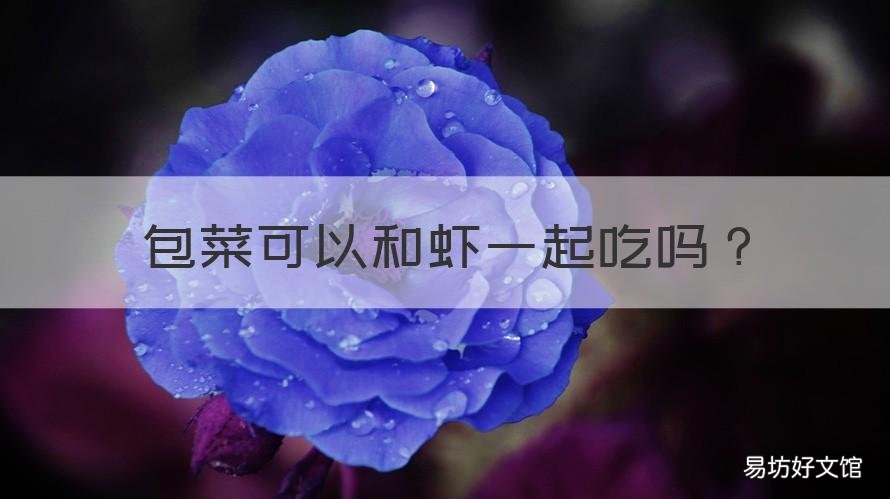包菜可以和虾一起吃吗 海虾可以和包菜一起吃吗