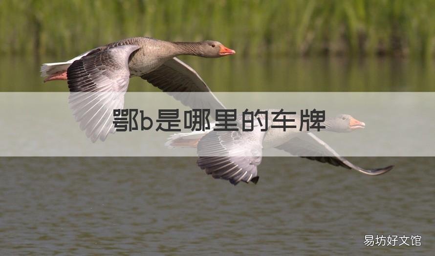 鄂b是哪里的车牌 鄂B是哪里的车牌号码