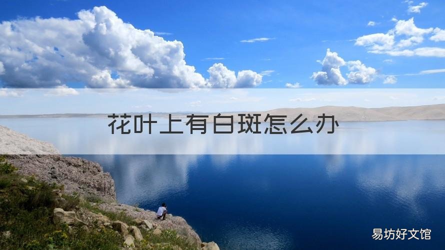花叶上有白斑怎么办 花叶有白色斑点是什么原因?如何治
