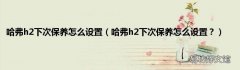 哈弗h2下次保养怎么设置？ 哈弗h2下次保养怎么设置