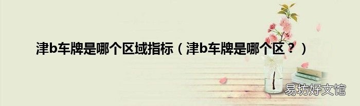 津b车牌是哪个区? 津b车牌是哪个区域指标