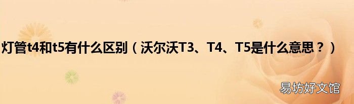 沃尔沃T3、T4、T5是什么意思? 灯管t4和t5有什么区别