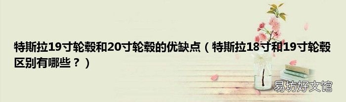 特斯拉18寸和19寸轮毂区别有哪些? 特斯拉19寸轮毂和20寸轮毂的优缺点
