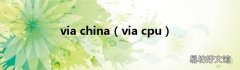 via cpu via china