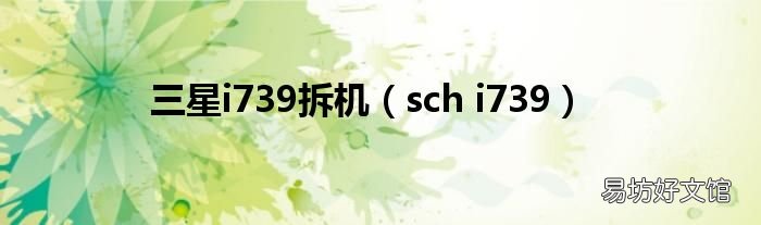 sch i739 三星i739拆机