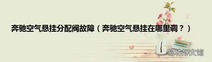 奔驰空气悬挂在哪里调？ 奔驰空气悬挂分配阀故障