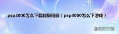 psp3000怎么下游戏 psp3000怎么下载超级玛丽