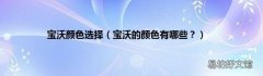 宝沃的颜色有哪些？ 宝沃颜色选择