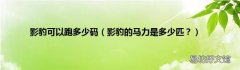 影豹的马力是多少匹？ 影豹可以跑多少码