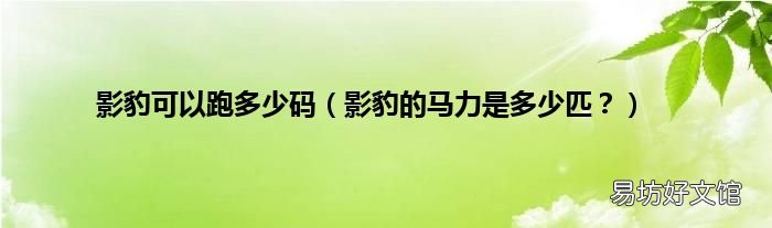 影豹的马力是多少匹？ 影豹可以跑多少码