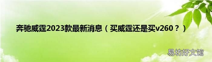 买威霆还是买v260？ 奔驰威霆2023款最新消息