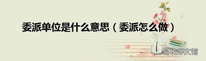 委派怎么做 委派单位是什么意思