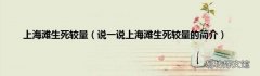 说一说上海滩生死较量的简介 上海滩生死较量