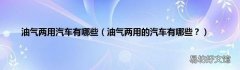 油气两用的汽车有哪些？ 油气两用汽车有哪些