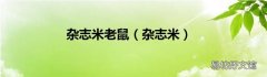 杂志米 杂志米老鼠