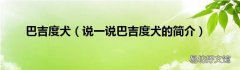 说一说巴吉度犬的简介 巴吉度犬