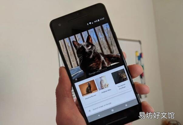 Chrome现在可让您在搜索图像时使用Google Lens