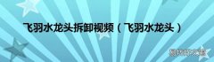 飞羽水龙头 飞羽水龙头拆卸视频