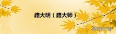 路大师 路大明