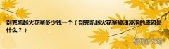 别克凯越火花塞被油浸泡的原因是什么？ 别克凯越火花塞多少钱一个