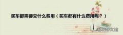 买车都有什么费用呢？ 买车都需要交什么费用
