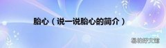 说一说胎心的简介 胎心