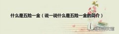 说一说什么是五险一金的简介 什么是五险一金