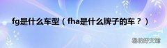 fha是什么牌子的车？ fg是什么车型