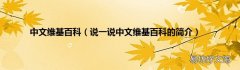 说一说中文维基百科的简介 中文维基百科