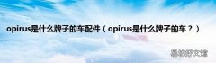 opirus是什么牌子的车？ opirus是什么牌子的车配件