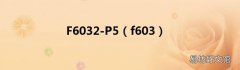 f603 F6032-P5