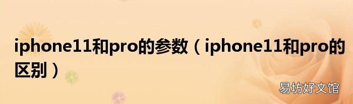 iphone11和pro的区别 iphone11和pro的参数