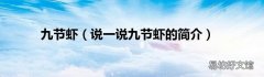 说一说九节虾的简介 九节虾