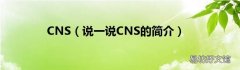 说一说CNS的简介 CNS