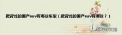 掀背式的国产suv有哪些？ 掀背式的国产suv有哪些车型