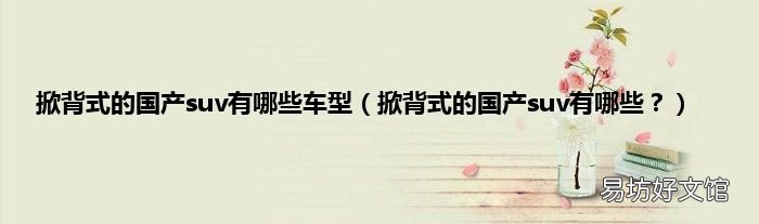 掀背式的国产suv有哪些? 掀背式的国产suv有哪些车型