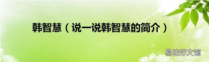 说一说韩智慧的简介 韩智慧
