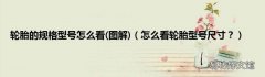 图解 怎么看轮胎型号尺寸？ 轮胎的规格型号怎么看