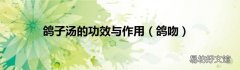 鸽吻 鸽子汤的功效与作用